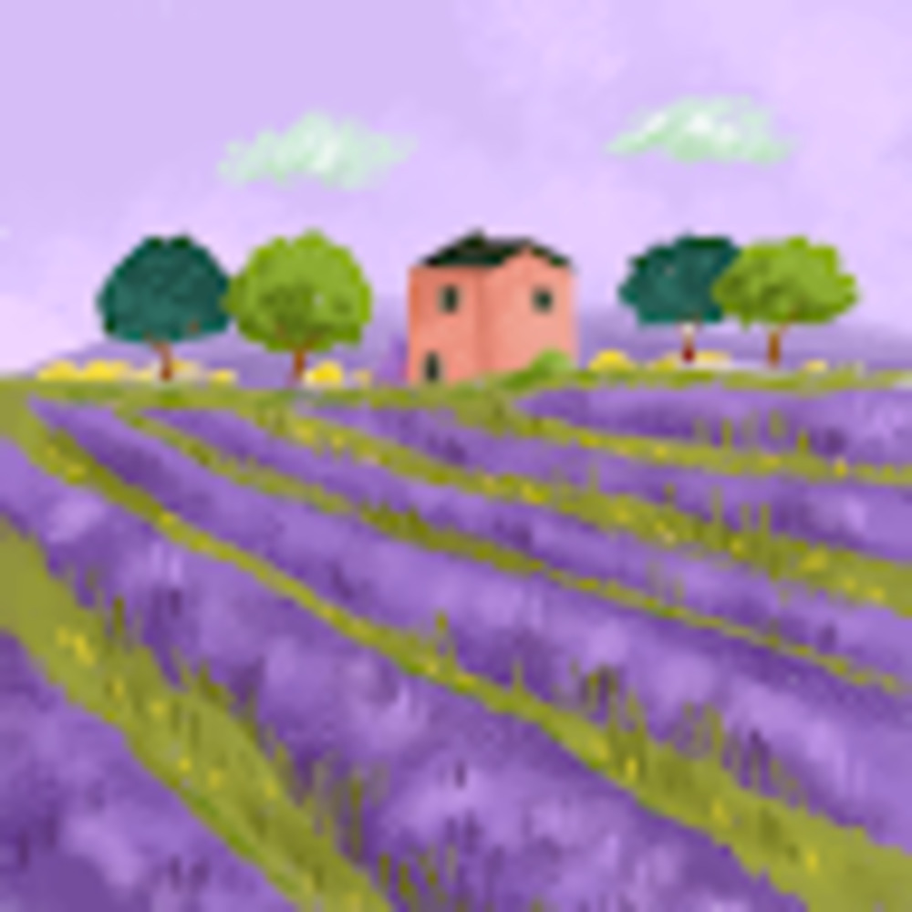 Meet your Posher, Rachael